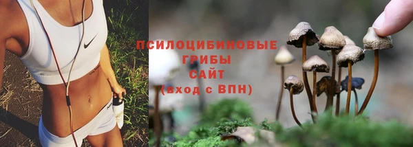 ПСИЛОЦИБИНОВЫЕ ГРИБЫ Вяземский