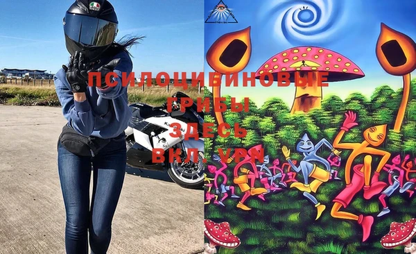 ПСИЛОЦИБИНОВЫЕ ГРИБЫ Вяземский