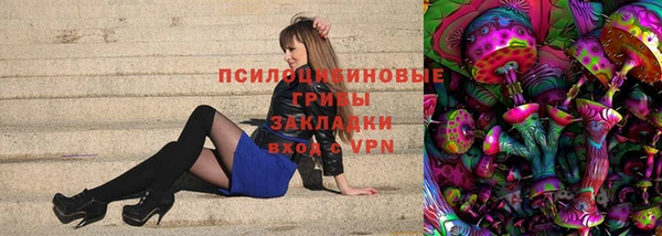 ПСИЛОЦИБИНОВЫЕ ГРИБЫ Вяземский