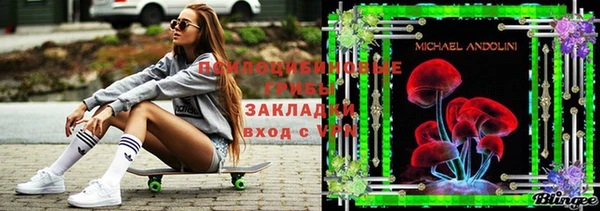 ПСИЛОЦИБИНОВЫЕ ГРИБЫ Вяземский