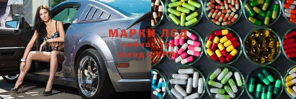 ПСИЛОЦИБИНОВЫЕ ГРИБЫ Вяземский