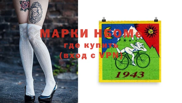 ПСИЛОЦИБИНОВЫЕ ГРИБЫ Вяземский