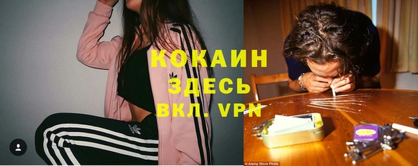 ПСИЛОЦИБИНОВЫЕ ГРИБЫ Вяземский