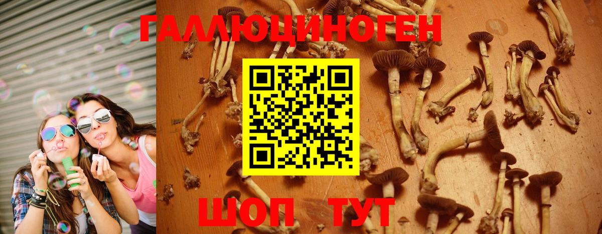 Мценск  Псилоцибиновые грибы Psilocybine cubensis  Вход с VPN  Псилоцибиновые грибы Magic Shrooms 